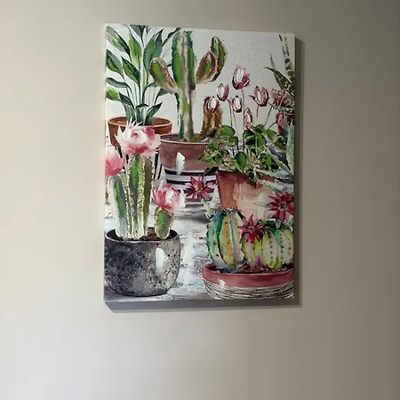 Appartement Sciuri House